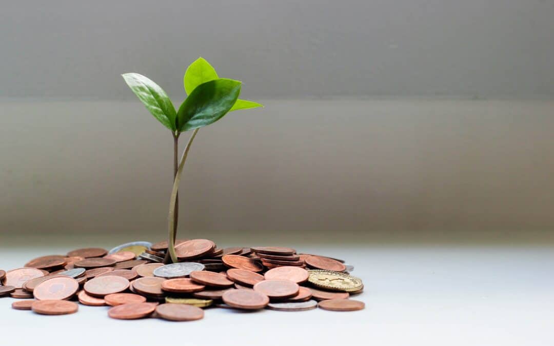 ¿Cómo lograr independencia financiera?
